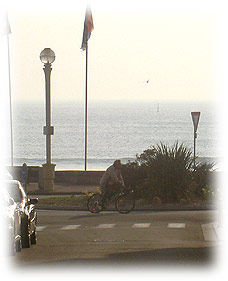 plage près de l'appartement meublé